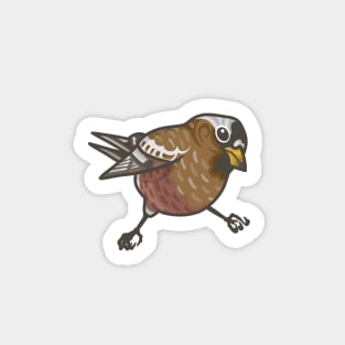 Gray-Crowned Rosy Finch Sticker